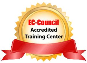 ceh training philippines|Next U! .